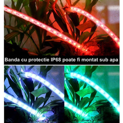 Bandă LED RGB 5050 Submersibilă 5m, 300 LED, 12V, IP68, Q-18A141