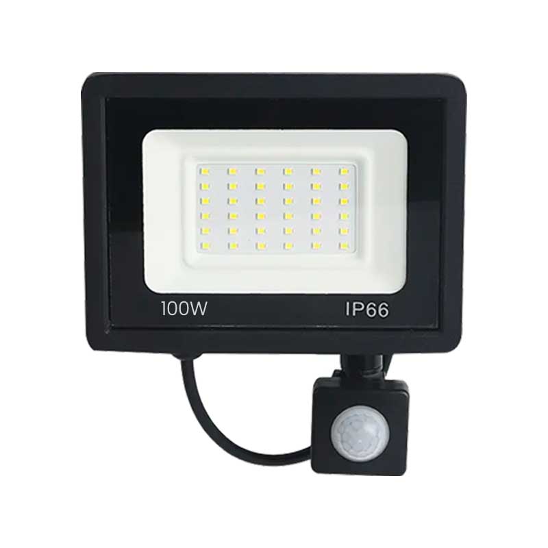 Proiector LED SMD Slim 100W, 220V, IP66, Iluminare Puternică pentru Exterior, EAZ-IL036