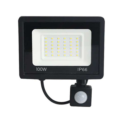 Proiector LED SMD Slim 100W, 220V, IP66, Iluminare Puternică pentru Exterior, EAZ-IL036