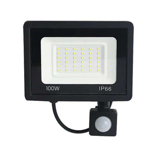 Proiector LED SMD Slim 100W, 220V, IP66, Iluminare Puternică pentru Exterior, EAZ-IL036