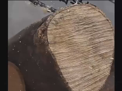 Drujbă Electrică fără Fir cu Lamă 12 inch și 2 Acumulatori 48V, Valiză, A-185-1